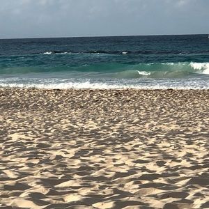 Meet your Posher, Joni